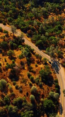 Sierra Ulusal Ormanı 'nın dağlarındaki otoyolun üzerinde uçuyorlar. Dalgalı yoldan geçen yalnız bir araba. Üst Manzara. Dikey video