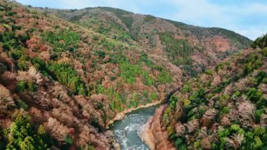 Katsura nehri resimli dağların arasında kıvranıyor. Güneşli bir günde kayaları kaplayan güzel ormanların üzerindeki insansız hava aracı görüntüleri. Kyoto, Japonya. Hava görünümü.