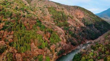 Ormanlarla kaplı muhteşem kayaların arasında akan güzel Katsura nehri. Japonya 'nın Kyoto dağlarını birbirine bağlayan köprüler nehri geçer. Hava görünümü.