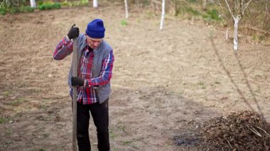 Mavi şapkalı, kareli gömlekli ve yelekli yaşlı adam küreklere yaslanıyor. Çiftçi ağaç dikmek için çukur kazıyor..