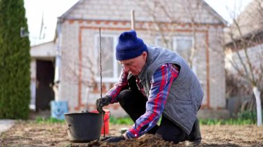 Olgun beyaz bahçıvan evinin yakınındaki bahçesinde çalışıyor. Genç bir elma ağacı dikiyor. Elleriyle zemini parçalıyor..