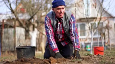 Kıdemli bahçıvan yeni dikilmiş genç ağacın etrafında yere çarpıyor. Bahçede sıkı çalış..