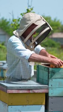 Arı yetiştiricisi bal peteğiyle çalışır. Arı kovanında çalışan koruyucu kıyafetli bir adam. Dikey video