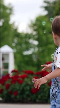 Sabun köpüklerini yakalayan sevimli erkek bebek. Parkta yürüyüş yapan küçük bir çocuk. Dikey video
