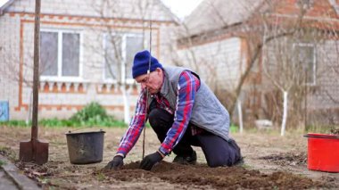 İnsan bahçesine yeni bir ağaç diker. Bahçıvan, eldivenli elleriyle filizin etrafını tırmıklıyor..