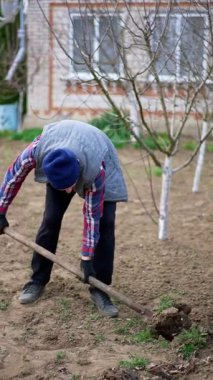Mavi şapkalı, kareli gömlekli, yelekli ve pantolonlu yetişkin bir beyaz adam zemini kürekle kazıyor. Bahçede bahar işi. Dikey video.