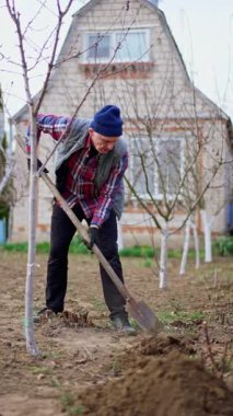 Yaşlı çiftçi evin yakınındaki toprağı kazıyor. Bahçede bahar hazırlıkları. Dikey video.