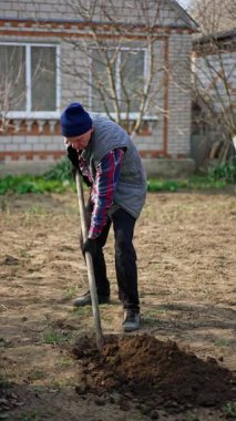 Beyaz bahçıvan evinin yakınında bir çukur kazıyor. Yeni ağaç için yer hazırlıyorum. Dikey video.