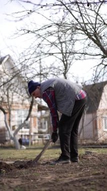 Bahçede çukur kazmak. Çiftçi yeni ağaç için bir çukur hazırlıyor. Çiftlikte bahar mevsimi. Dikey video.