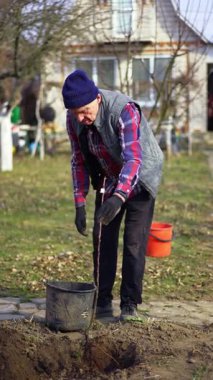 Çiftçi kovadan çukura su döker. İnsan dikmek için yeni bir ağaç hazırlar. Dikey video.