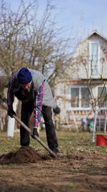 Kareli gömlekli adam bahçesinde çukur kazıyor. Çalışkan bahçıvan yeni ağaçlar dikiyor. Dikey video.