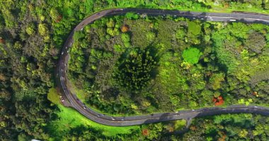 Resimli doğada yer alan yol ilmeği boyunca birden fazla araba hareket ediyor. Yeşilliği geçen otoban. Üst görünüm.