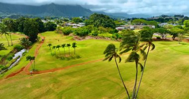 Yalnız bir adam, palmiye ağaçlarıyla çimlerin üzerinde golf oynuyor. Hawaii, ABD 'nin insansız hava aracı görüntülerinden manzara.
