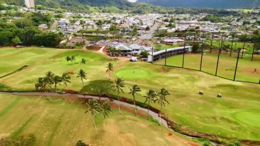Derede büyüyen palmiye ağaçları yeşil golf sahasını geçiyor. Çok az insan sahada golf oynar. Arka planda şehir alanı. Hawaii, ABD. Hava görünümü.