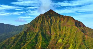 Keskin tepenin zirvesine uçmak, kertenkelelerle kaplıdır. Arka planda gökyüzünde beyaz bulutlar. Honolulu manzaraları.