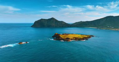 Çimlerle kaplı düz kaya ya da su yüzeyine yapışmış yosun. Arkaplanda dağlar. Hawaii kıyısı.