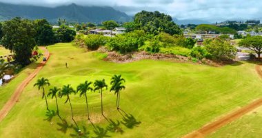 Dengesiz golf sahasında birkaç palmiye ağacı var. Erkek oyuncu sahada yürüyor. Hava görüntüsü. Oahu, Hawaii, ABD.