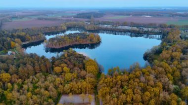 Hollanda 'daki sakin göl. Sonbahar ağaçlarıyla çevrili sakin bir göl, açık bir günde Hollanda 'da doğanın güzelliğini gözler önüne seriyor..