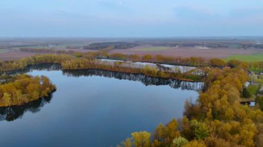 Sakin bir Hollanda gölünün havadan görünüşü. Hollanda 'da yumuşak bir mavi gökyüzünün altında sakin bir gölü çevreleyen altın sonbahar ağaçları doğanın güzelliğini gözler önüne seriyor..