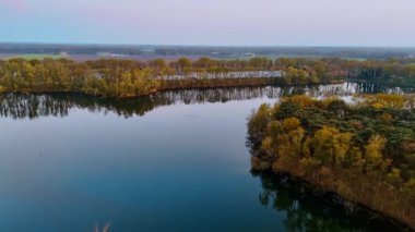 Hollanda 'da sakin bir göl. Hollanda 'daki yemyeşil ağaçlarla çevrili sakin gölü, altın saat boyunca huzurlu bir hava manzarası yakalar..