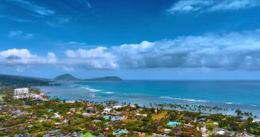 Pasifik Okyanusu kıyısındaki özel evler arasında sayısız palmiye ağacı yetişiyor. Arka planda göz kamaştırıcı masmavi bir su manzarası. Hava görünümü.