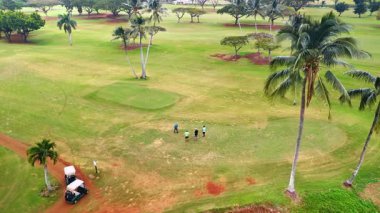 Dört adam sahada golf oynuyor ve palmiye ağaçları büyüyor. Oyuncular golf arabalarına gider. Hava görüntüsü. Hawaii, ABD 'de spor.