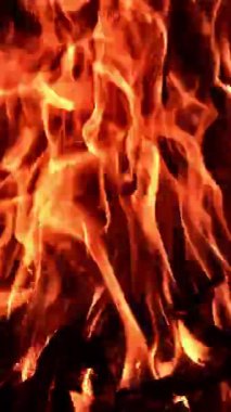 Gecenin karanlığında yanan şenlik ateşini hipnotize etmek. Kamp ateşinde odun parçaları yanıyor. Dikey video