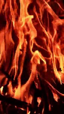 Kamp ateşinde bazı odun parçaları yanıyor. Siyah arka planda güzel turuncu alevler. Dikey video