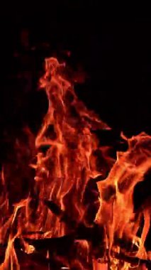 Karanlıkta büyük bir kamp ateşi yanıyor. Karanlık çöktüğünde ağaçların dalları ateşte yanar. Dikey video