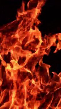 Kamp ateşinin sıcak turuncu alevleri havaya yükseliyor. Siyah arka planda yanan ateşin büyüleyici görüntüsü. Dikey video