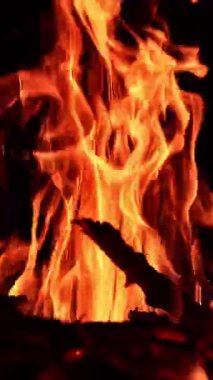 Kamp ateşinde ince ağaç dalları yanar. Turuncu alevler karanlıkta hızla hareket ediyor. Dikey video