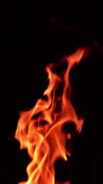 Turuncu alevlerin dili yükseliyor. Şenlik ateşinden küçük parlak kıvılcımlar yükseliyor. Siyah zemin. Dikey video