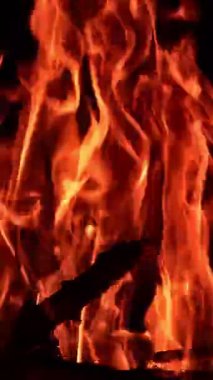 Büyük kamp ateşinde yanan odun dalları. Alevlerin yükselişinin güzel manzarası. Siyah zemin. Dikey video