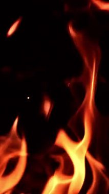 Uzun alev dilleri karanlığı yalıyor. İzole edilmiş kamp ateşi yanıyor. Kapatın. Dikey video