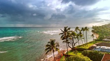 Kıyıdaki palmiyeler rüzgarda dalgalanıyor. Pasifik Okyanusu 'nun dalgaları sahile doğru akıyor. Gökyüzünde dramatik bulut manzarası. Hawaii, ABD.