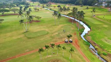 Palmiye ağaçları büyüyen Hawaii golf sopası. İHA görüntüleri golf oynayan dört adama yaklaşıyor. Hava perspektifi.