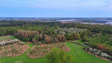 Hollanda 'nın bereketli bahar manzarası. Açık yeşil tarlalar ve güzel orman alanları baharda Hollanda 'nın doğal güzelliğini gösteriyor..