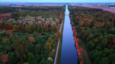Hollanda kanalı boyunca canlı bir sonbahar ormanı. Sonbahar boyunca Hollanda 'da bir kanala bitişik renkli bir ormanın havadan görünüşü çarpıcı bir doğa sergiliyor..