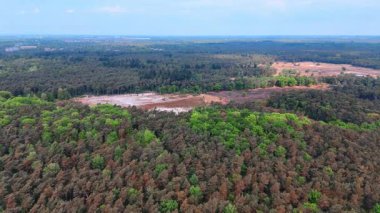 Hollanda 'da doğanın orman manzarası. Hollanda 'da gündüz vakti yemyeşil ormanları ve çorak arazi parçalarını gösteren hava manzarası.