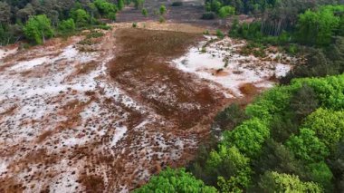 Hollanda 'nın doğal manzara manzarası. Hollanda 'nın nefes kesici manzarası yemyeşil ve kuru arazilerin karışımını sergiliyor. Doğa aşıkları için mükemmel..