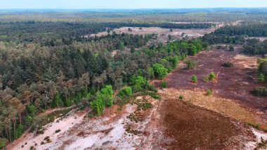 Hollanda bahar manzarası. Yeşillik ve çeşitli araziler Hollanda 'daki bu güzel bahar manzarasını karakterize eder. Huzurlu ve enerjik..