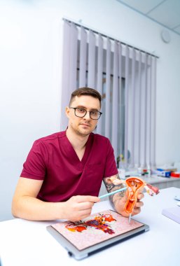 Doktor anatomi modeli gösteriyor. Önlüklü bir adam klinik ortamda bir anatomi modelini açıklıyor, tıp eğitimi konusundaki uzmanlığını gösteriyor..