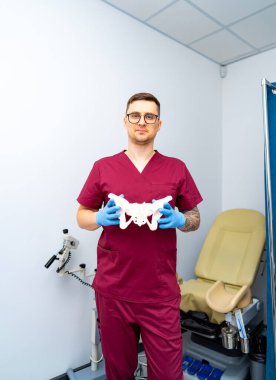 Pelvis modeli olan bir doktor. Önlüklü bir adam, tıp bürosunda anatomik eğitimi veya eğitimi ön plana çıkaran pelvik bir model gösteriyor..