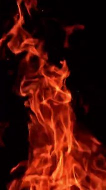 Yanan ateşin kırmızı alevleri yükseliyor. Siyah arka planda izole edilmiş şenlik ateşi dilleri. Dikey video