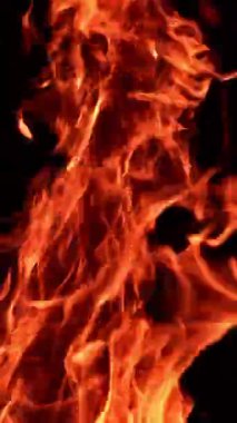 Yanan kamp ateşinin güzel alevi yükseliyor. Yangın siyah zemin üzerinde izole edildi. Kapatın. Dikey video