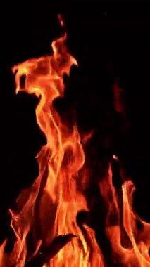 Mutlak karanlıkta yanan çok güzel bir kamp ateşi. Havaya yükselen uzun alev dilleri. Dikey video