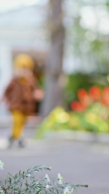 Küçük çocuk kameraya doğru koşuyor. Güzel beyaz çocuk sonbaharda açık havada eğleniyor. Düşük açı. Dikey video