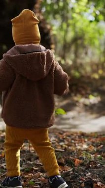 Dışarıda sıcak kıyafetler giyen bir çocuğun arka görüntüsü. Küçük oğlan parkta kuru yaprakların arasında yürüyor. Dikey video