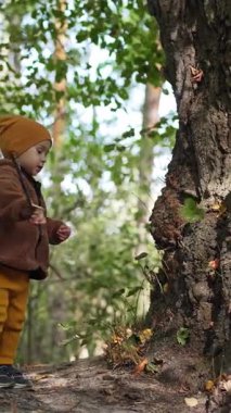 Parkta elinde sopayla duran küçük çocuk. Çocuk sopayla ağaç gövdesine vurdu. Dikey video