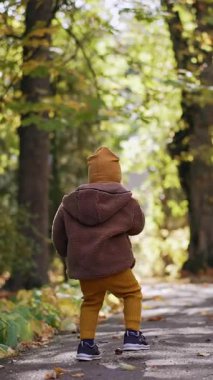 Parkın yanından geçen bir çocuğun arka görüntüsü. Çocuk bir kestane buluyor ve üstüne basıyor. Arka planda güzel bir sonbahar doğası. Dikey video